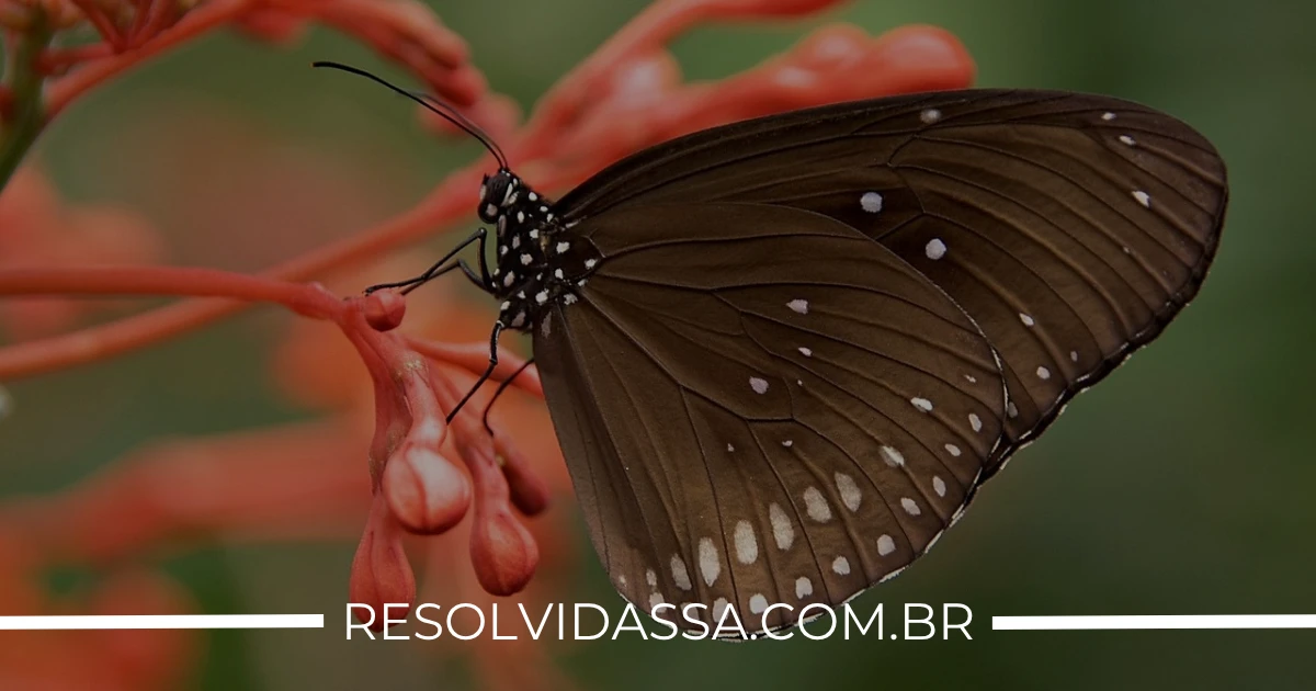 O Que Te Impede de Avançar? Descubra o Poder da Permissão!